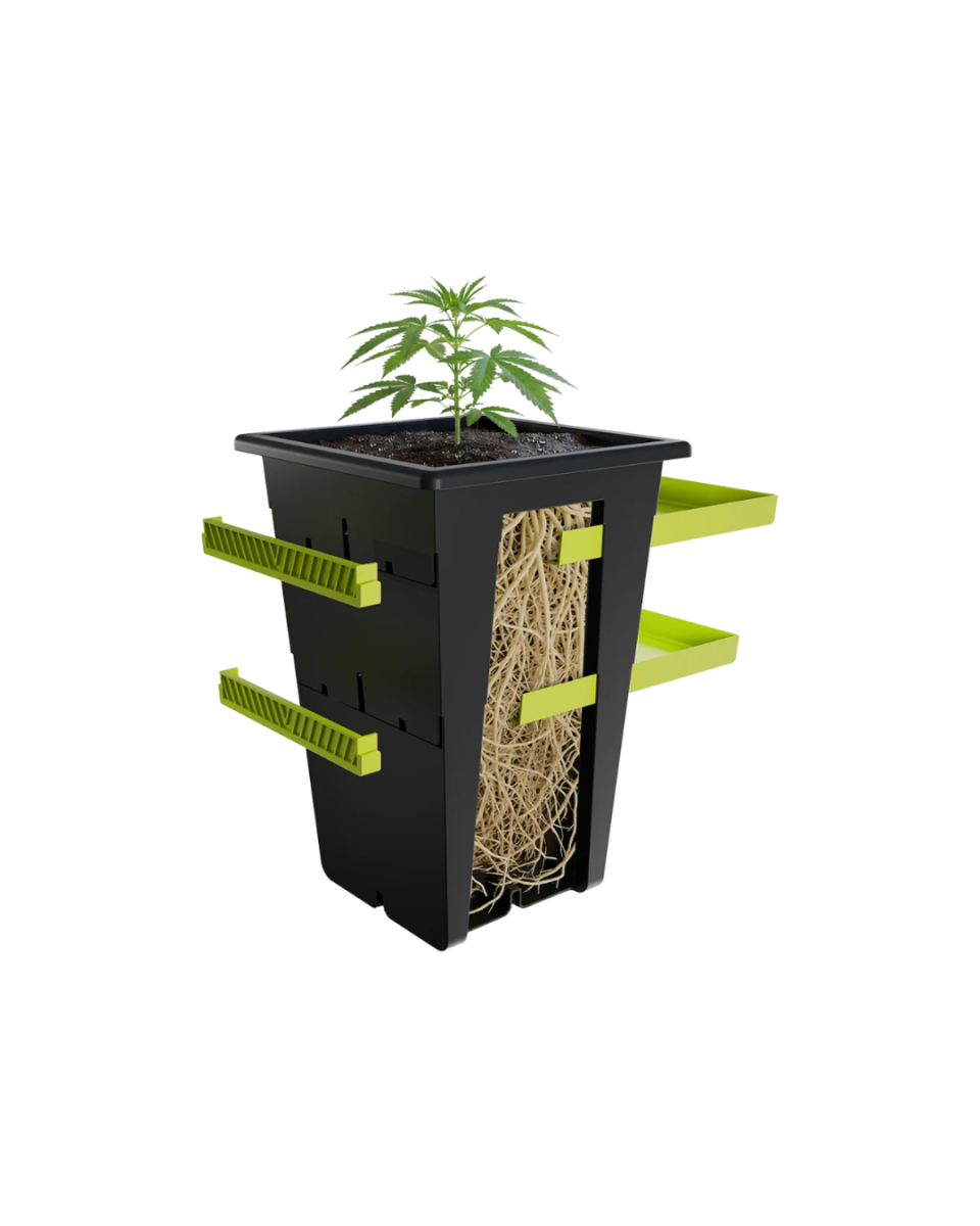 Re-plant