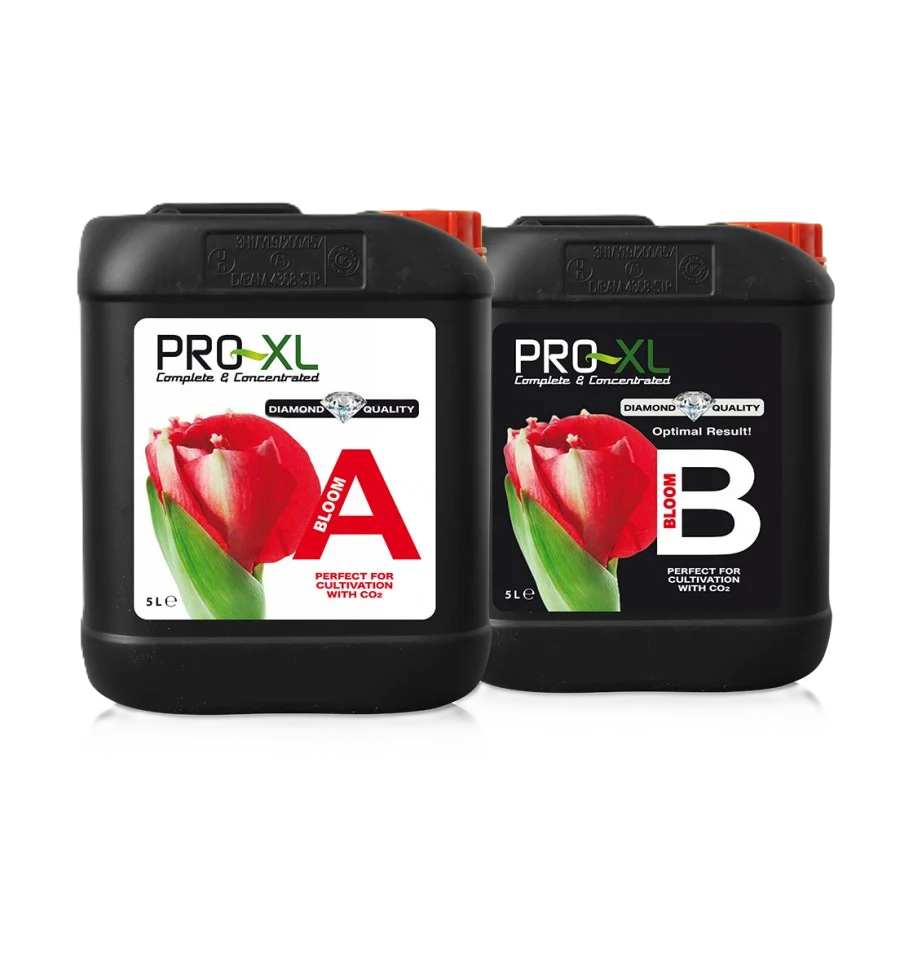 Bloom A+B 5 L