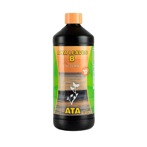 ATA Awa leaves B