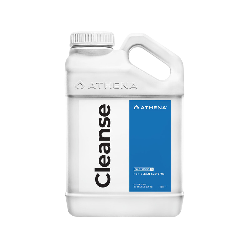 Cleanse