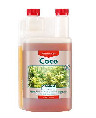 Coco A