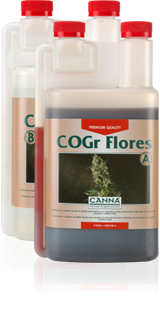 Cogr flores B