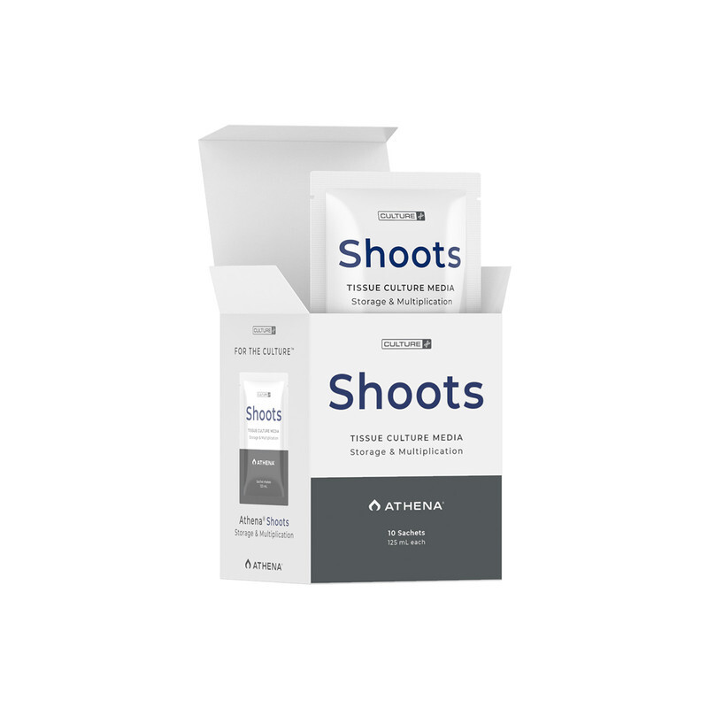 Shoots Culture Media