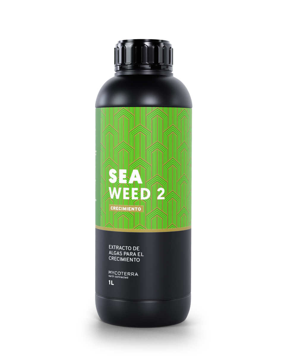Sea Weed 2