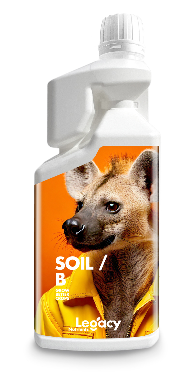 Soil B Legacy
