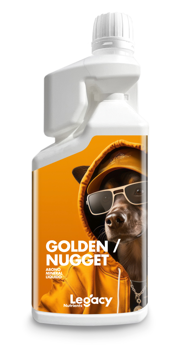 Golden Nugget Legacy