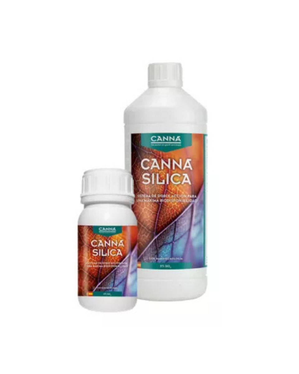 Canna Silica