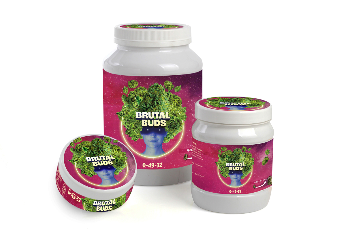 Brutal Buds