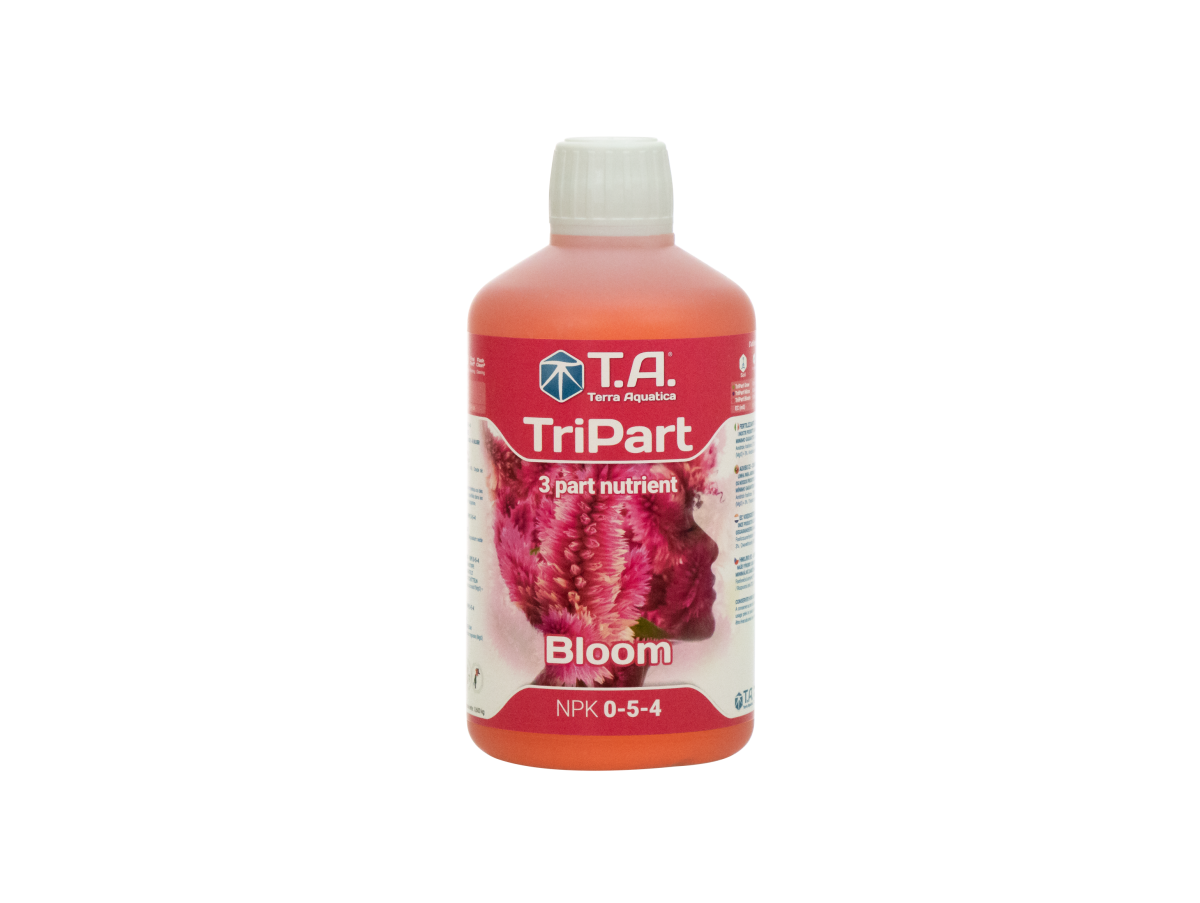 TriPart Bloom