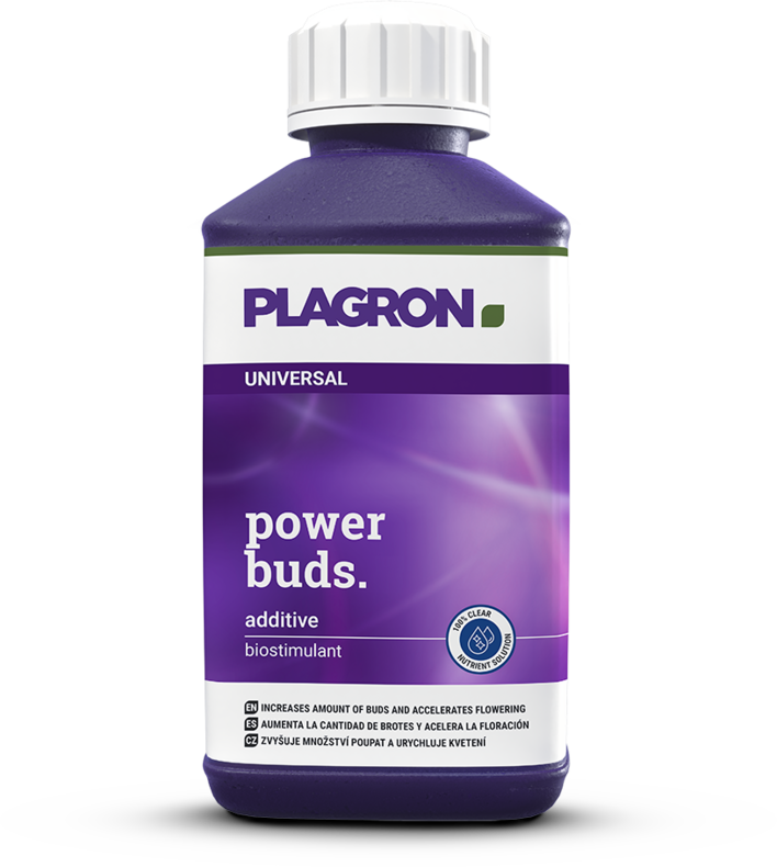 Power buds 250 ml