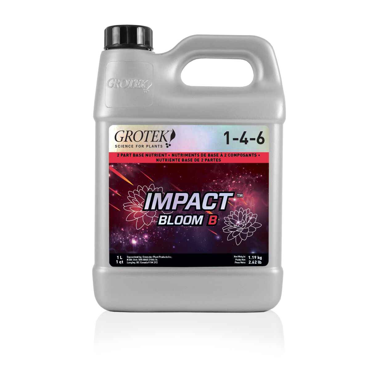 Impact Bloom B