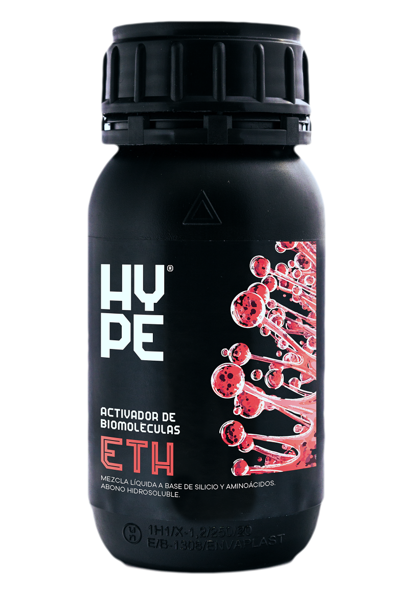 Eth