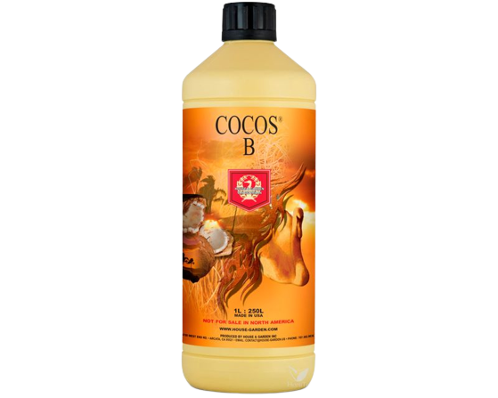 Coco B H&G