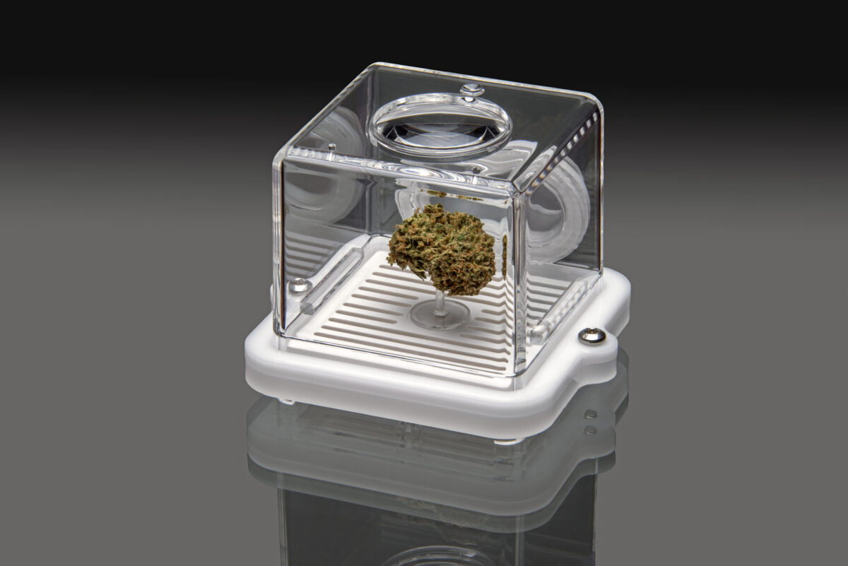 Puffer Pod white Bud Bar