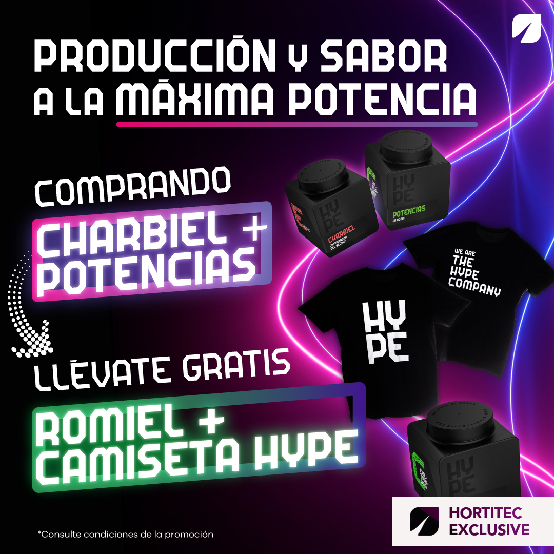 Promo Hype